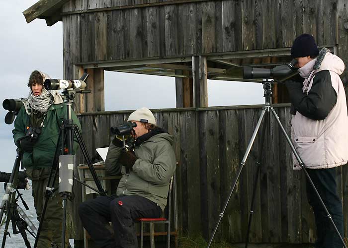 ooo
Annika, Antero ja Margus Põõsaspeal, november 2004 

UP
Keywords: birders lindurid birdwatch
