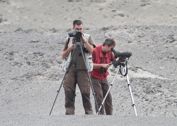 Hannes ja Rene
Peruu, sügis 2014

UP
Keywords: birders