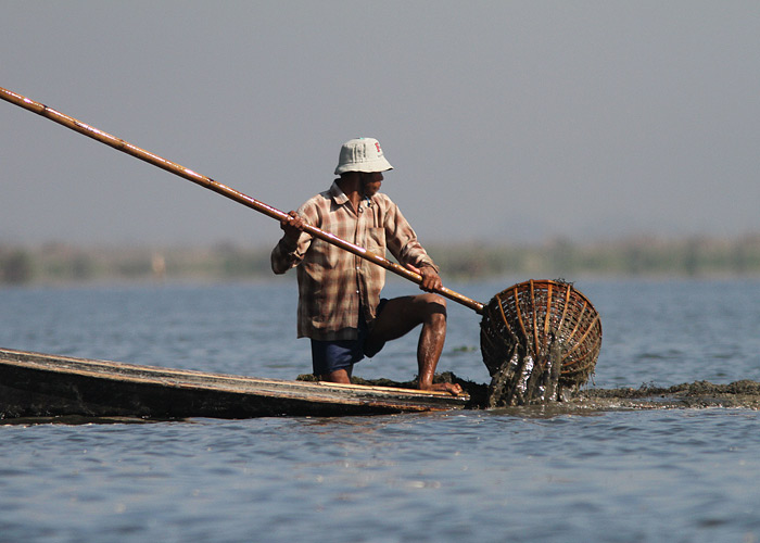 Järvemuda kogumine
Toitaineterikast järvemuda kasutatakse ujuvate põldude väetamiseks.

Birma, jaanuar 2012

Rene Ottesson
