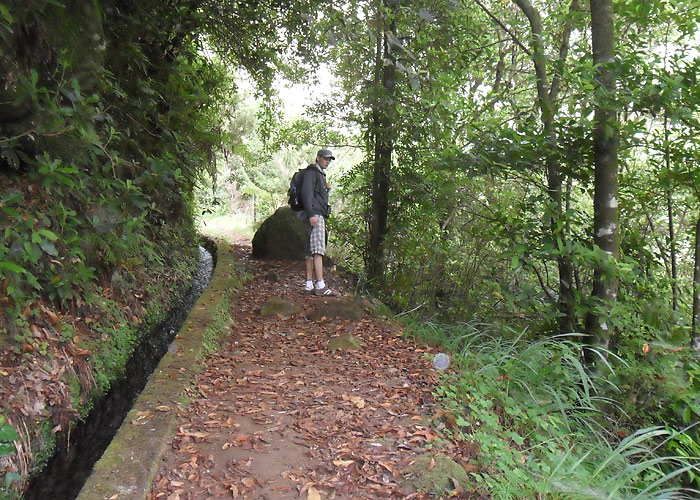 Levada
Madeira, august 2011. Levadasid mööda jalutades näeb kohalikke metsaliike.

UP
