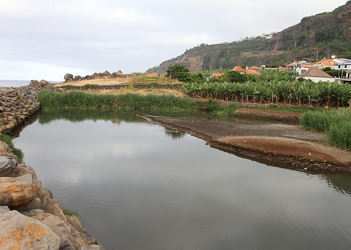 Lugar De Baixo
Madeira, august 2011. Saare ainuke märgala on 200x200 m suurune tiik. Siin on nähtud palju transatlantilisi haruldusi.

UP
