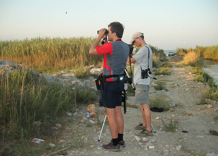 Turistid Eestist

L. Sadam
Keywords: birders