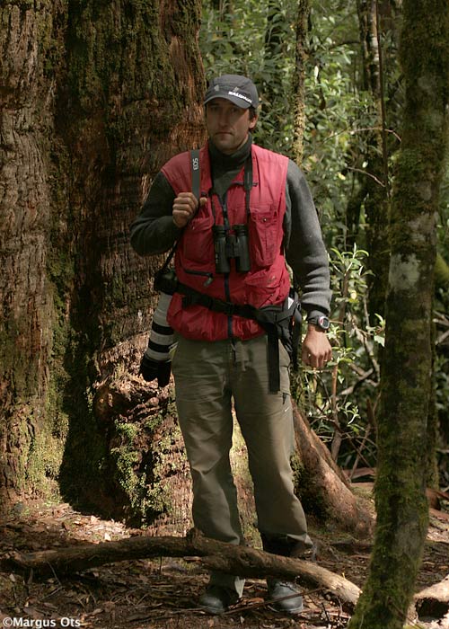 Rene vihmametsas
Tasmaania, november 2007

Margus Ots
Keywords: birders