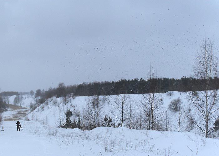 Birder ja kajakad
Jõelähtme, Harjumaa, veebruar 2012

Kuido Kõiv
Keywords: birders