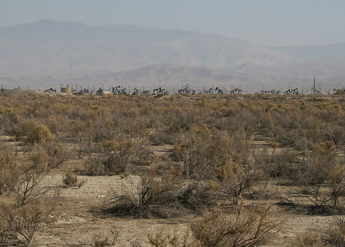 Pilalinnu biotoop
Petrol Road, California, september 2008. Nafta puurtornid on  Toxostoma lecontei elupaiga lahutamatu osa. 

Riho Marja
Keywords: desert