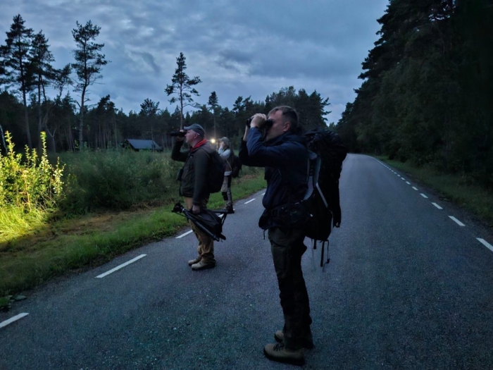Estonian Open 2025
Võistkond Spunk otsis olematuid linde Spithami metsa vahelt: Kaarel Võhandu, Antero Lindholm, Kristo Raud.

Tiiu Tali
Keywords: birders