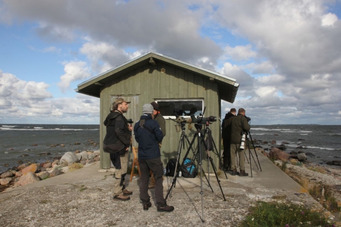 Estonian Open 2025
Võistkonnad Spunk ja Läänemaa Põõsaspeal.

Marika Mann
Keywords: birders